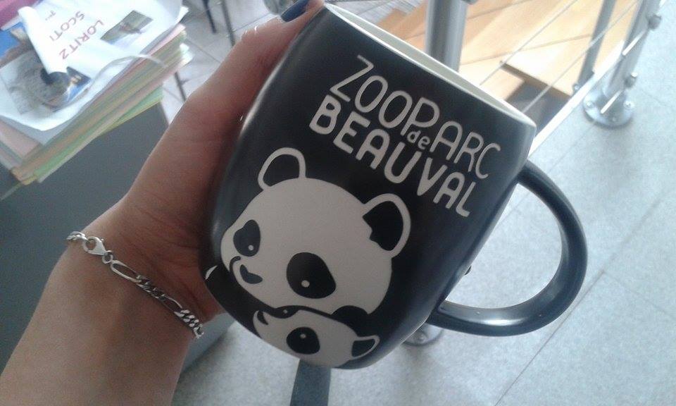 13823243_613292688845220_95222448_n[1]