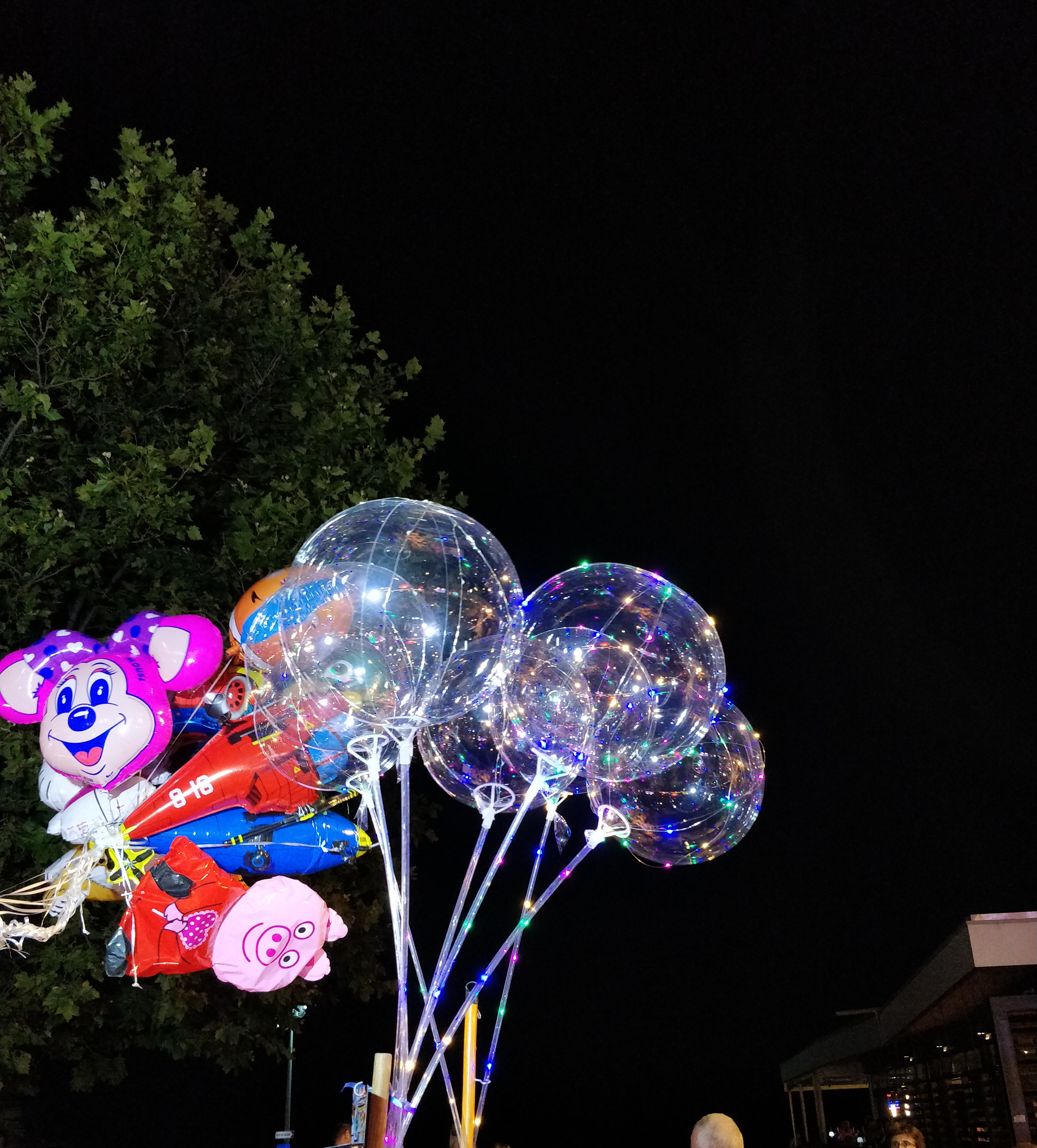 IMG_20180730_215603__01