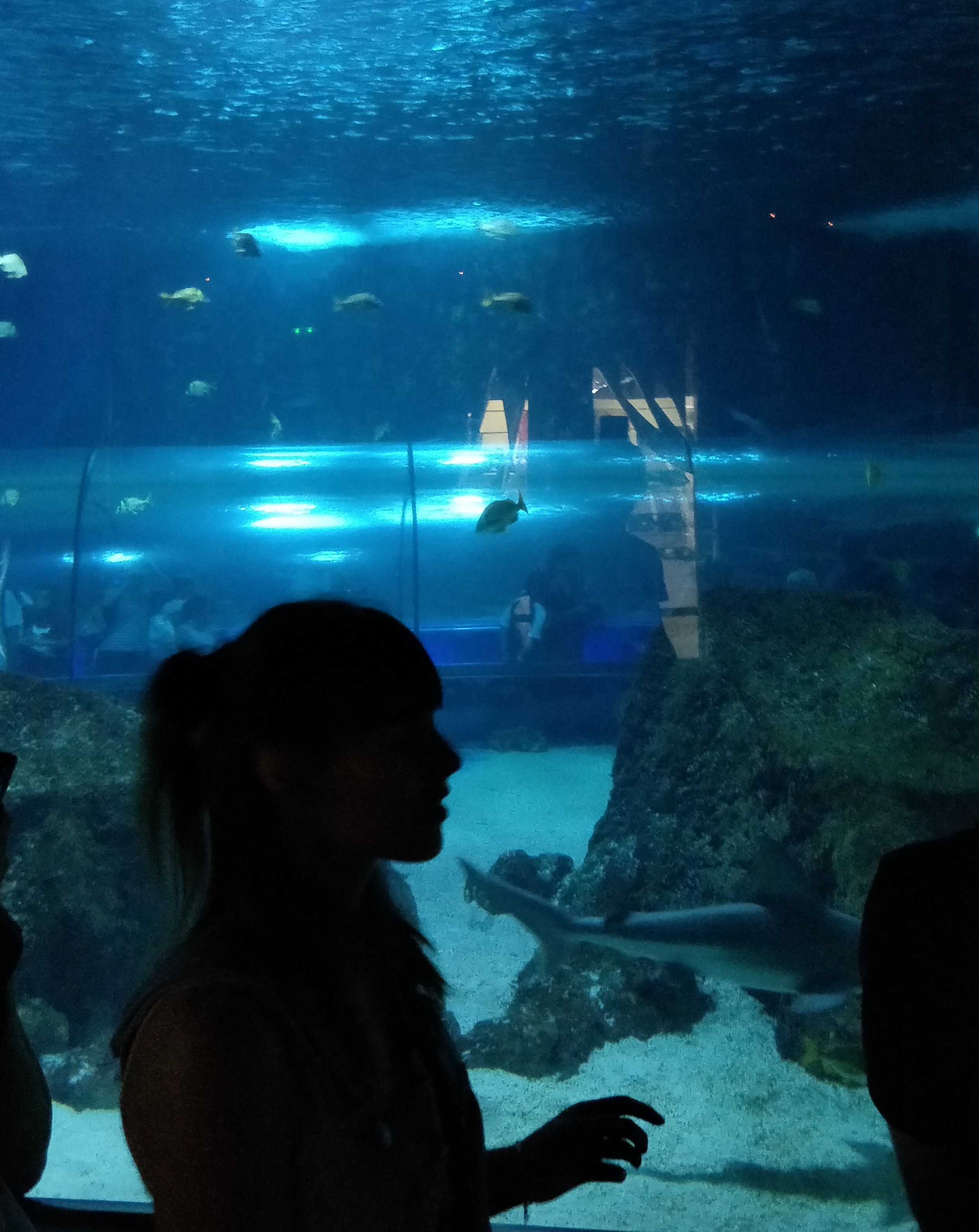 IMG_20180731_140948__01__01