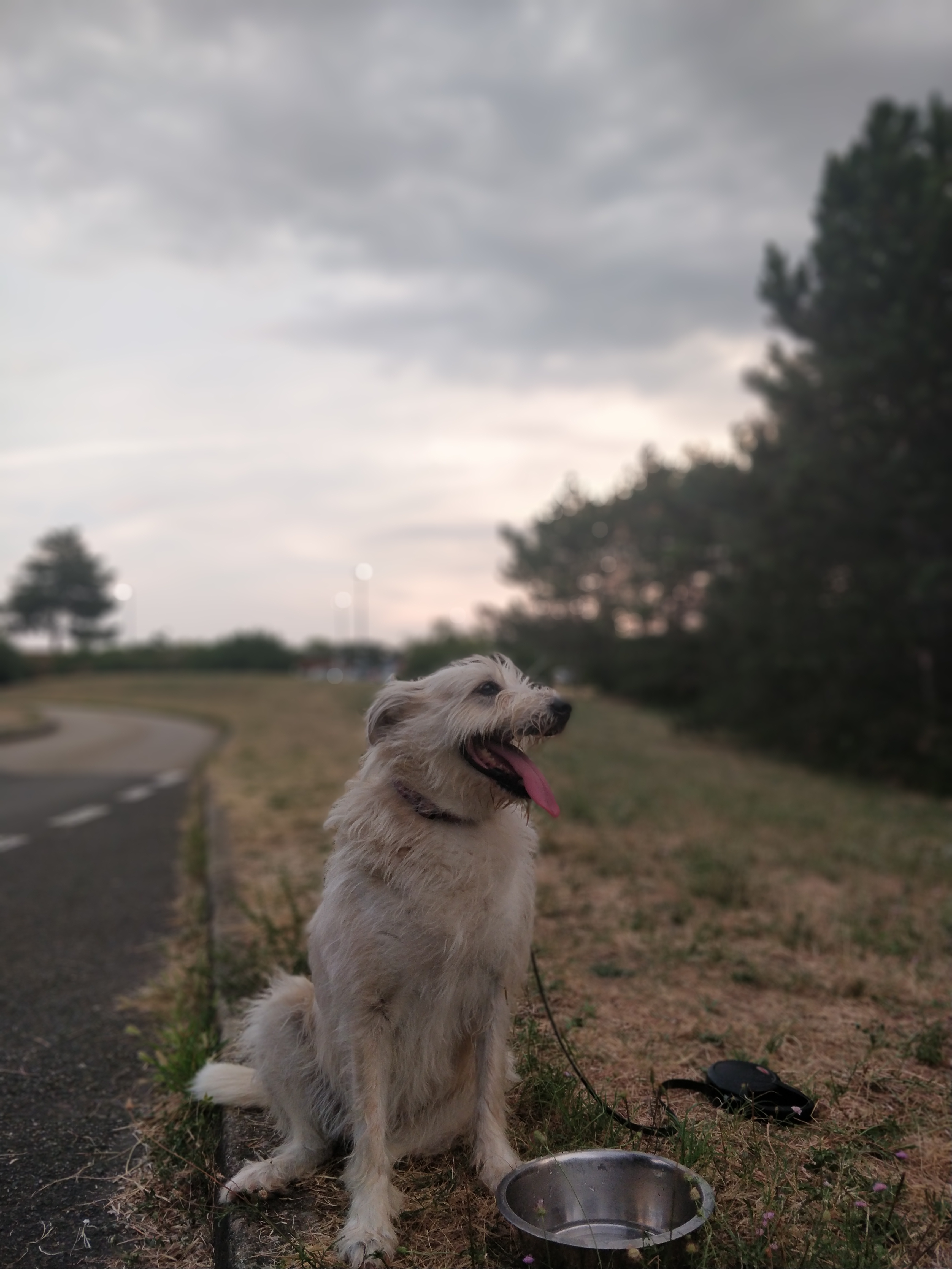 IMG_20180803_205419_Bokeh